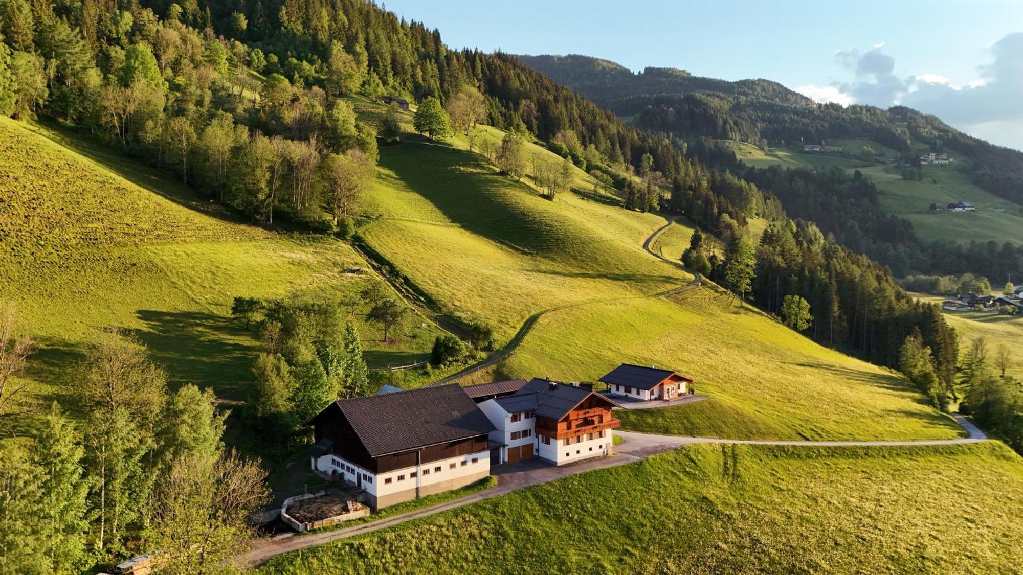 Apartments Frechhof Schladming Kültér fotó